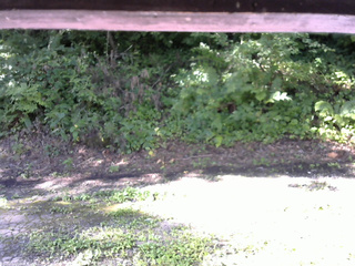 長野県菅平高原 ゆたか山荘 南側 2025/08/15 07:45