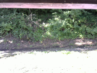 長野県菅平高原 ゆたか山荘 南側 2025/08/15 08:00