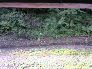 長野県菅平高原 ゆたか山荘 南側 2025/08/15 08:15