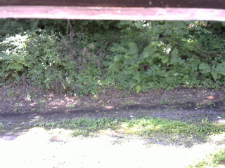 長野県菅平高原 ゆたか山荘 南側 2025/08/15 08:30