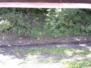 長野県菅平高原 ゆたか山荘 南側 2025/08/15 08:45