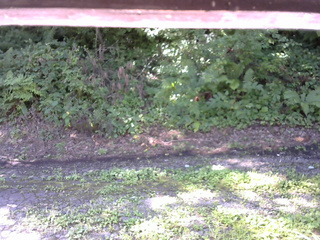 長野県菅平高原 ゆたか山荘 南側 2025/08/15 09:00