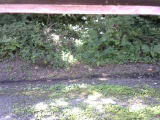 長野県菅平高原 ゆたか山荘 南側 2025/08/15 09:15