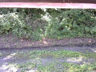 長野県菅平高原 ゆたか山荘 南側 2025/08/15 09:45