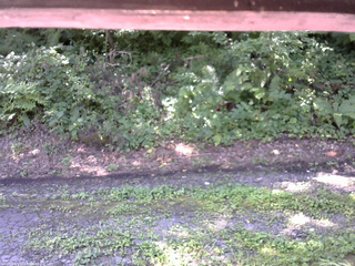 長野県菅平高原 ゆたか山荘 南側 2025/08/15 10:00