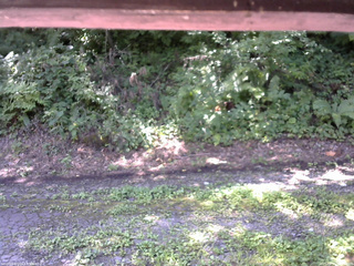 長野県菅平高原 ゆたか山荘 南側 2025/08/15 10:15