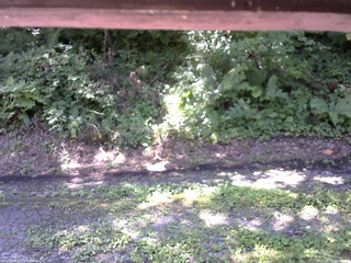 長野県菅平高原 ゆたか山荘 南側 2025/08/15 10:30