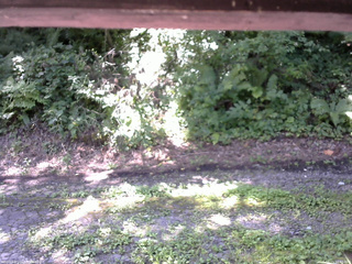 長野県菅平高原 ゆたか山荘 南側 2025/08/15 10:45