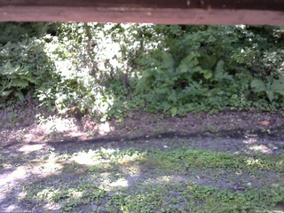 長野県菅平高原 ゆたか山荘 南側 2025/08/15 11:00