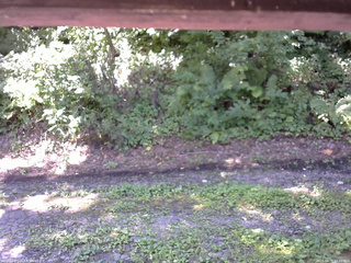 長野県菅平高原 ゆたか山荘 南側 2025/08/15 11:15