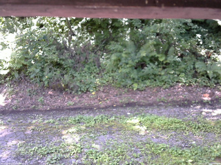 長野県菅平高原 ゆたか山荘 南側 2025/08/15 11:30