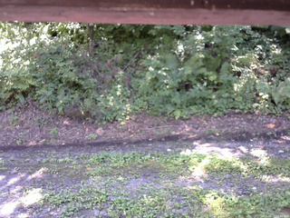 長野県菅平高原 ゆたか山荘 南側 2025/08/15 11:45