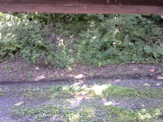 長野県菅平高原 ゆたか山荘 南側 2025/08/15 12:00