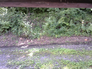 長野県菅平高原 ゆたか山荘 南側 2025/08/15 12:15