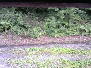 長野県菅平高原 ゆたか山荘 南側 2025/08/15 12:45