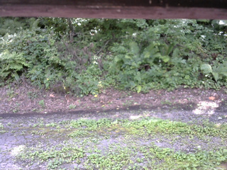 長野県菅平高原 ゆたか山荘 南側 2025/08/15 13:00