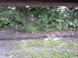 長野県菅平高原 ゆたか山荘 南側 2025/08/15 13:15