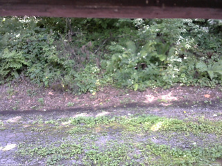 長野県菅平高原 ゆたか山荘 南側 2025/08/15 13:30