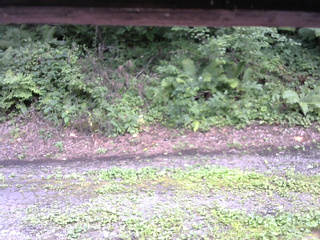 長野県菅平高原 ゆたか山荘 南側 2025/08/15 13:45