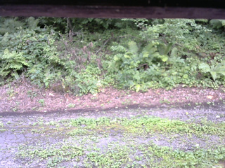 長野県菅平高原 ゆたか山荘 南側 2025/08/15 14:00