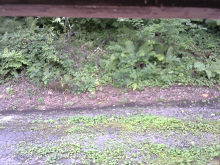 長野県菅平高原 ゆたか山荘 南側 2025/08/15 14:15