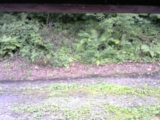 長野県菅平高原 ゆたか山荘 南側 2025/08/15 14:30