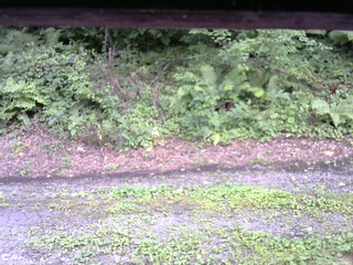 長野県菅平高原 ゆたか山荘 南側 2025/08/15 14:45