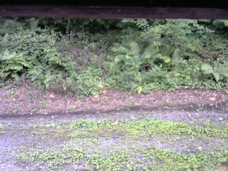 長野県菅平高原 ゆたか山荘 南側 2025/08/15 15:00