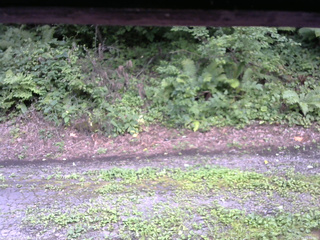 長野県菅平高原 ゆたか山荘 南側 2025/08/15 15:30