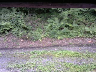 長野県菅平高原 ゆたか山荘 南側 2025/08/15 16:00