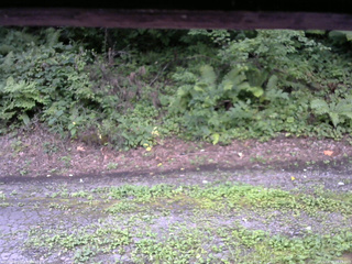 長野県菅平高原 ゆたか山荘 南側 2025/08/15 16:15