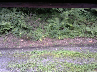 長野県菅平高原 ゆたか山荘 南側 2025/08/15 16:30