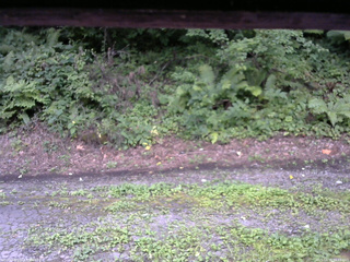 長野県菅平高原 ゆたか山荘 南側 2025/08/15 16:45