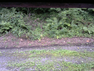 長野県菅平高原 ゆたか山荘 南側 2025/08/15 17:00