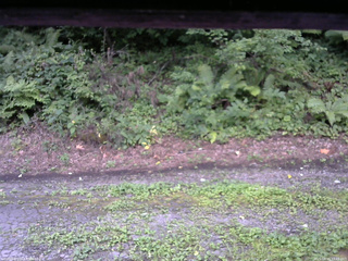 長野県菅平高原 ゆたか山荘 南側 2025/08/15 17:45