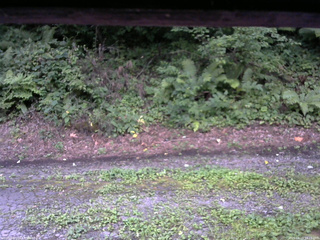 長野県菅平高原 ゆたか山荘 南側 2025/08/15 18:15