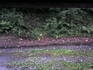 長野県菅平高原 ゆたか山荘 南側 2025/08/15 18:30