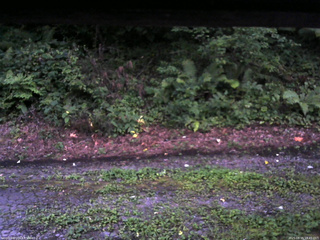 長野県菅平高原 ゆたか山荘 南側 2025/08/15 18:45