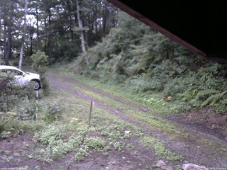 長野県菅平高原 ゆたか山荘 東側(坂下) 2025/08/15 05:00