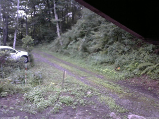 長野県菅平高原 ゆたか山荘 東側(坂下) 2025/08/15 05:15