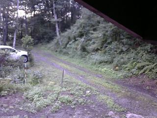 長野県菅平高原 ゆたか山荘 東側(坂下) 2025/08/15 05:45