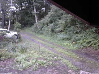 長野県菅平高原 ゆたか山荘 東側(坂下) 2025/08/15 06:00
