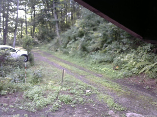 長野県菅平高原 ゆたか山荘 東側(坂下) 2025/08/15 06:15