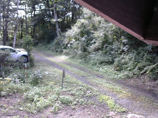 長野県菅平高原 ゆたか山荘 東側(坂下) 2025/08/15 08:15