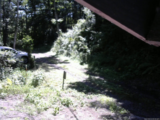 長野県菅平高原 ゆたか山荘 東側(坂下) 2025/08/15 09:30