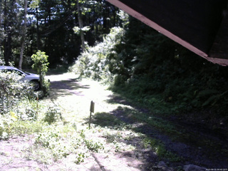 長野県菅平高原 ゆたか山荘 東側(坂下) 2025/08/15 09:45