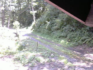 長野県菅平高原 ゆたか山荘 東側(坂下) 2025/08/15 11:30