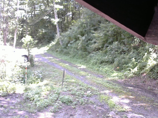 長野県菅平高原 ゆたか山荘 東側(坂下) 2025/08/15 12:15