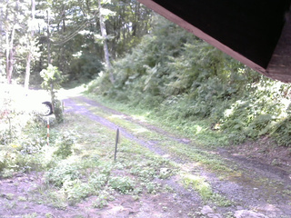 長野県菅平高原 ゆたか山荘 東側(坂下) 2025/08/15 12:30