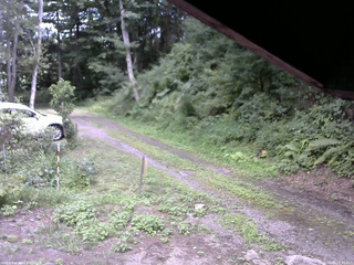 長野県菅平高原 ゆたか山荘 東側(坂下) 2025/08/15 12:45